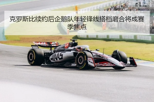 克罗斯比续约后企鹅队年轻锋线搭档磨合将成赛季焦点